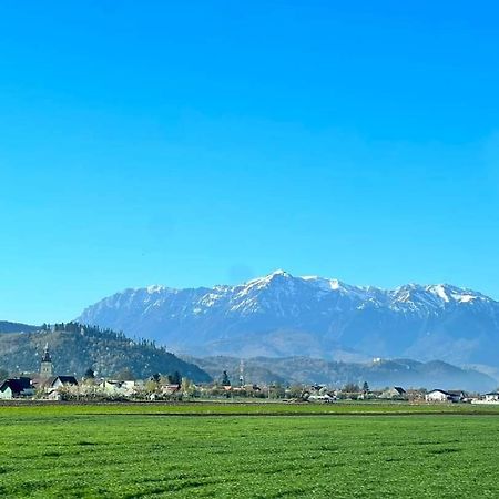 Neustadt Villa Cristian  Exteriér fotografie