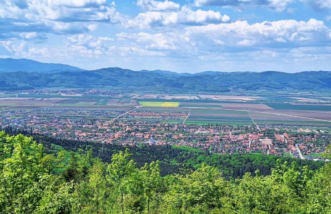 Neustadt Villa Cristian  Exteriér fotografie
